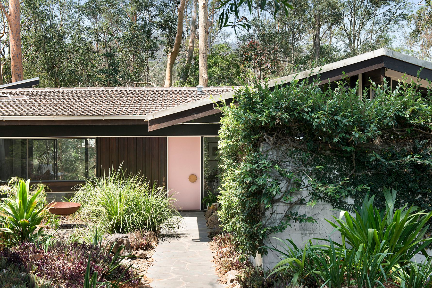 House with plants